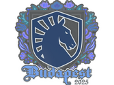 Sticker | Team Liquid | Budapest 2025 image