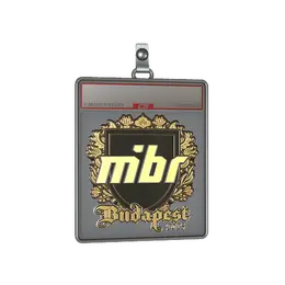 Sticker Slab | MIBR image