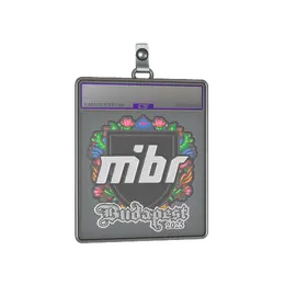 Sticker Slab | MIBR image