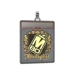 Sticker Slab | M80 image