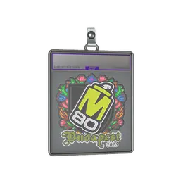 Sticker Slab | M80 image