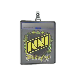 Sticker Slab | Natus Vincere | Budapest 2025 image