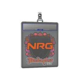 Sticker Slab | NRG | Budapest 2025 image