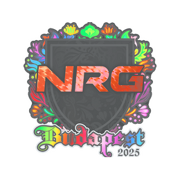 Sticker | NRG (Holo) | Budapest 2025 image