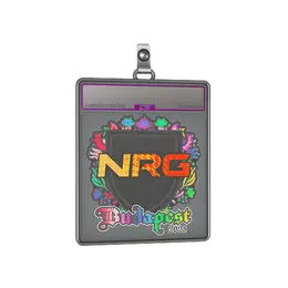 Sticker Slab | NRG image