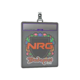 Sticker Slab | NRG image