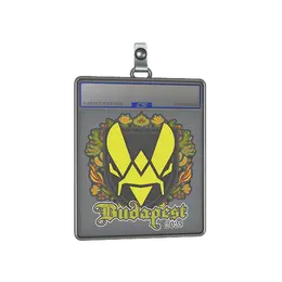 Sticker Slab | Vitality | Budapest 2025 image