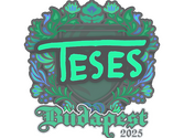 Sticker | TeSeS | Budapest 2025 image