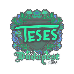 Sticker | TeSeS | Budapest 2025 image