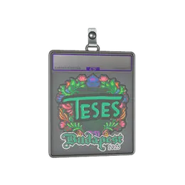 Sticker Slab | TeSeS image