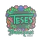 TeSeS (Embroidered) | Budapest 2025
