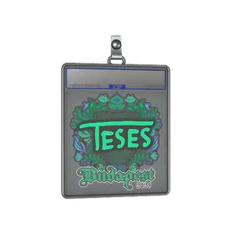 Sticker Slab | TeSeS | Budapest 2025 image