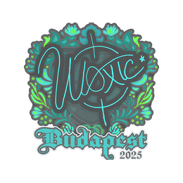 Sticker | woxic | Budapest 2025 image