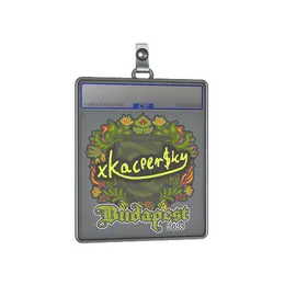 Sticker Slab | xKacpersky | Budapest 2025 image