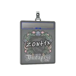 Sticker Slab | zont1x | Budapest 2025 image