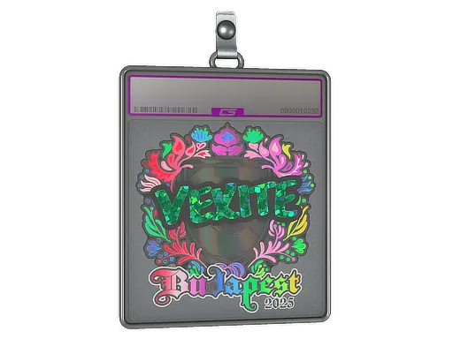 Sticker Slab | vexite (Holo) | Budapest 2025