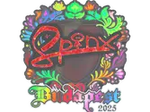 Sticker | Spinx (Holo) | Budapest 2025 image