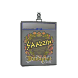 Sticker Slab | saadzin | Budapest 2025 image