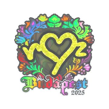 Sticker | ropz (Holo) | Budapest 2025