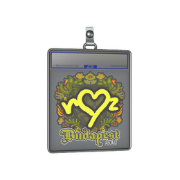 Sticker Slab | ropz | Budapest 2025 image