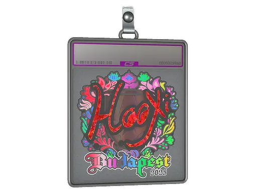 Sticker Slab | HooXi (Holo) | Budapest 2025