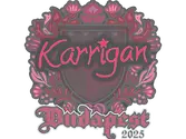 Sticker | karrigan | Budapest 2025 image