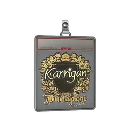 Sticker Slab | karrigan image