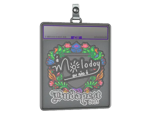 Sticker Slab | molodoy (Embroidered) | Budapest 2025