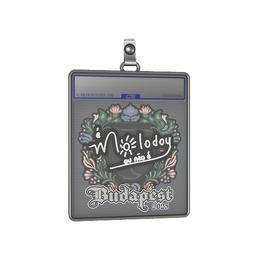 Sticker Slab | molodoy | Budapest 2025 image