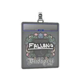 Sticker Slab | FalleN | Budapest 2025 image