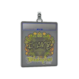Sticker Slab | FlameZ | Budapest 2025 image