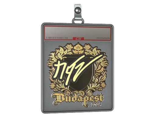 Sticker Slab | NQZ (Gold) | Budapest 2025