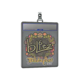 Sticker Slab | bLitz | Budapest 2025 image