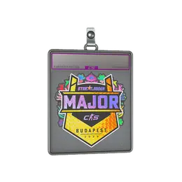 Sticker Slab | StarLadder image