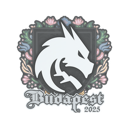 Sticker | Team Spirit | Budapest 2025 image