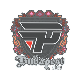 Sticker | paiN Gaming | Budapest 2025 image