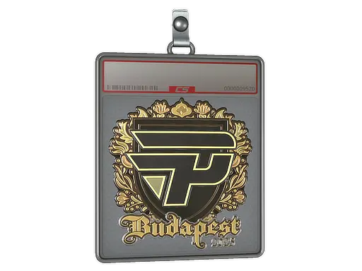 Sticker Slab | paiN Gaming (Gold) | Budapest 2025