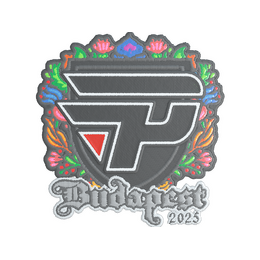 Sticker | paiN Gaming (Embroidered) | Budapest 2025 image