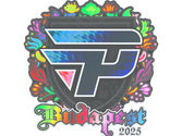 Sticker | paiN Gaming (Holo) | Budapest 2025 image