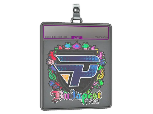 Sticker Slab | paiN Gaming (Holo) | Budapest 2025