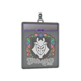 Sticker Slab | G2 esports image