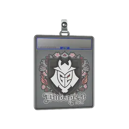 Sticker Slab | G2 esports | Budapest 2025 image
