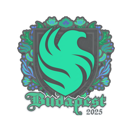 Sticker | Falcons | Budapest 2025 image