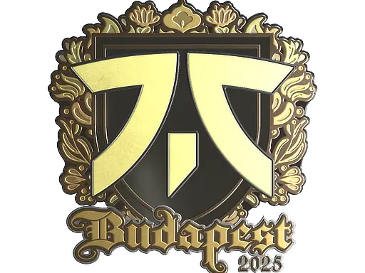 Sticker | fnatic (Gold) | Budapest 2025