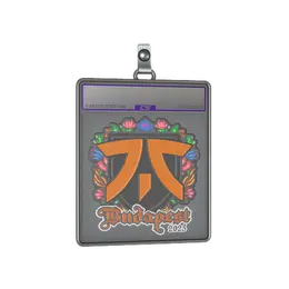 Sticker Slab | fnatic image