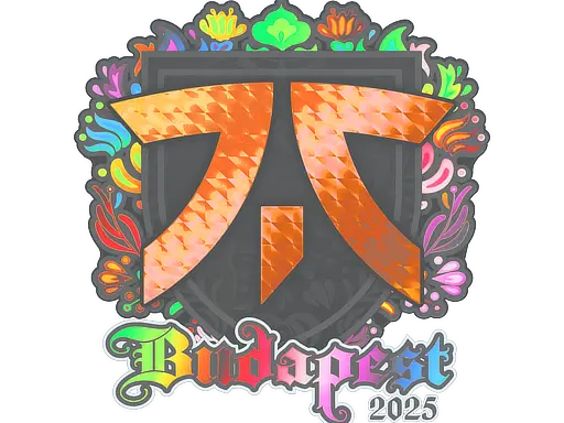 Sticker | fnatic (Holo) | Budapest 2025