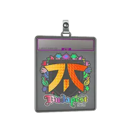 Sticker Slab | fnatic image