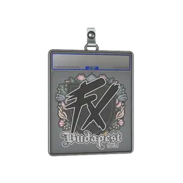 Sticker Slab | Fluxo | Budapest 2025 image