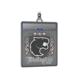 Sticker Slab | FURIA | Budapest 2025 image