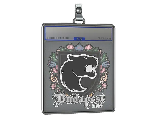 Sticker Slab | FURIA | Budapest 2025